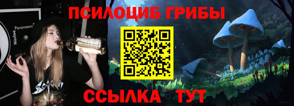 Моздок  Псилоцибиновые грибы мицелий  Вход с VPN 