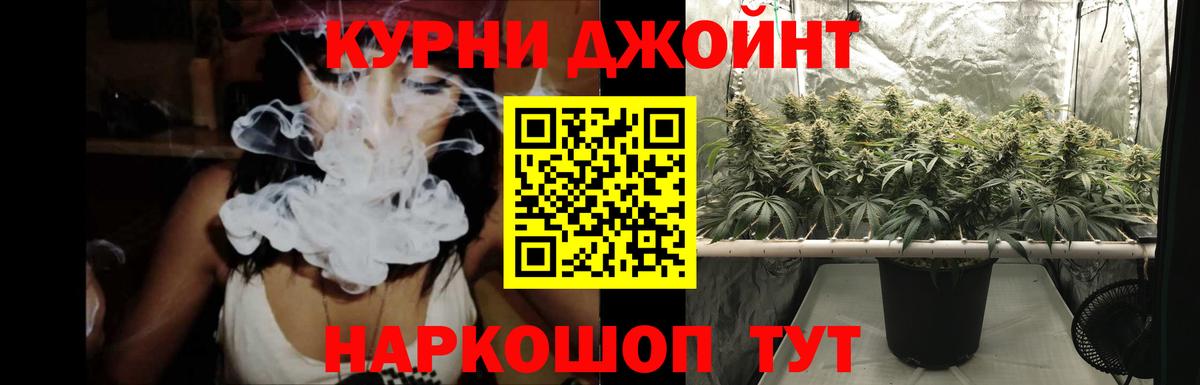 Марихуана Bruce Banner  Марихуана сатива  Моздок  Вход с VPN  Каннабис Amnesia 